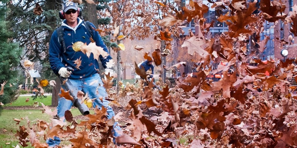 How to Use a Leaf Blower